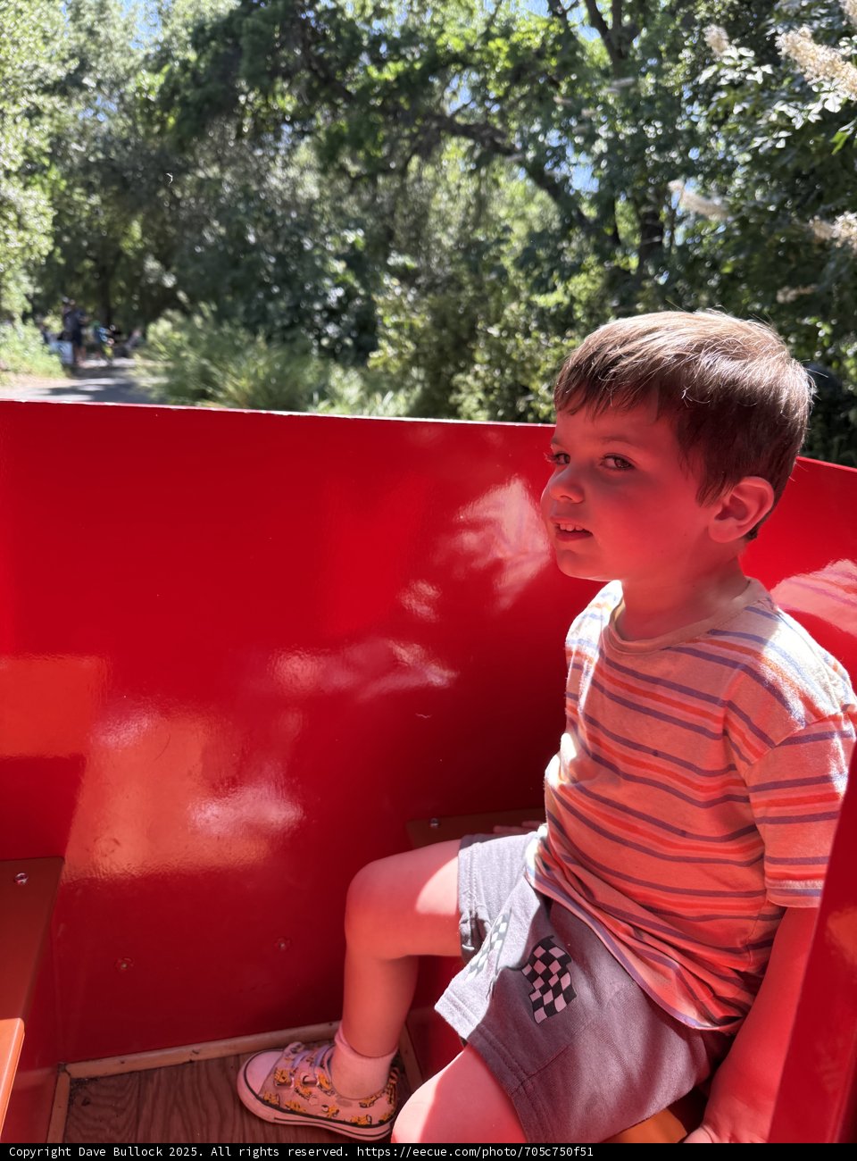 Joyful Ride Under the Summer Sun