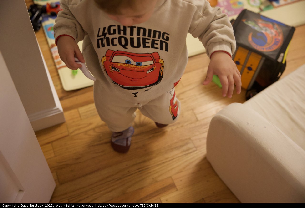 Tiny Adventures on Hardwood Floors