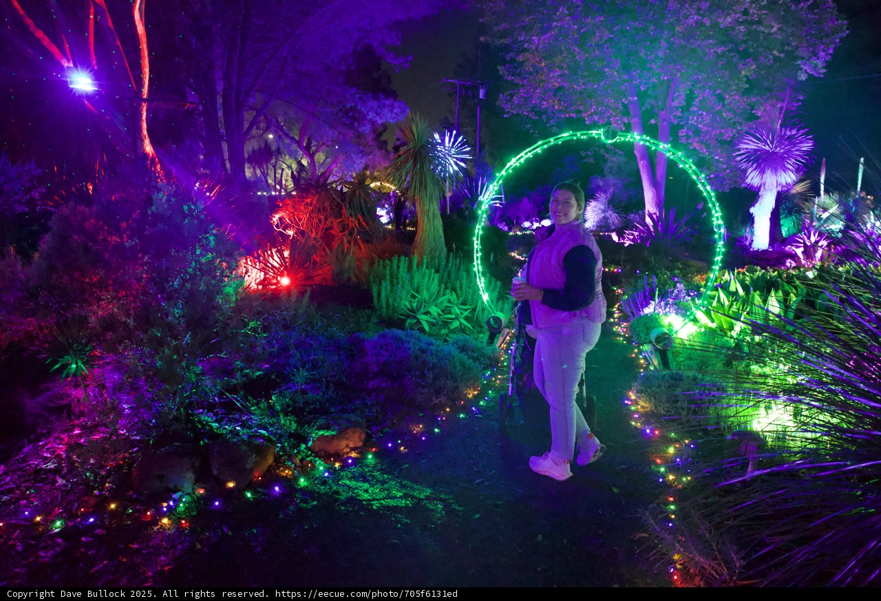 Nighttime Enchantment at Garden of D'Lights