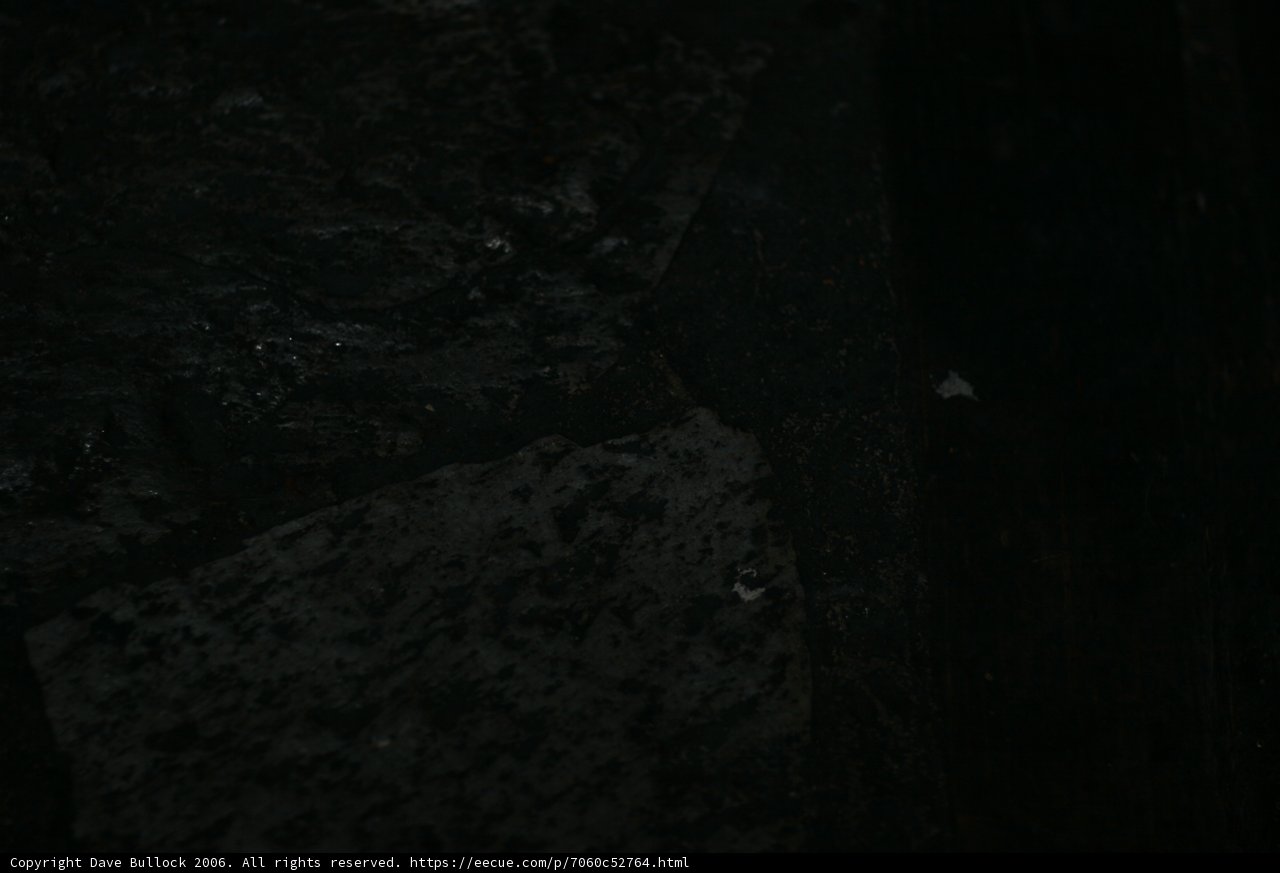 In the Dark Room