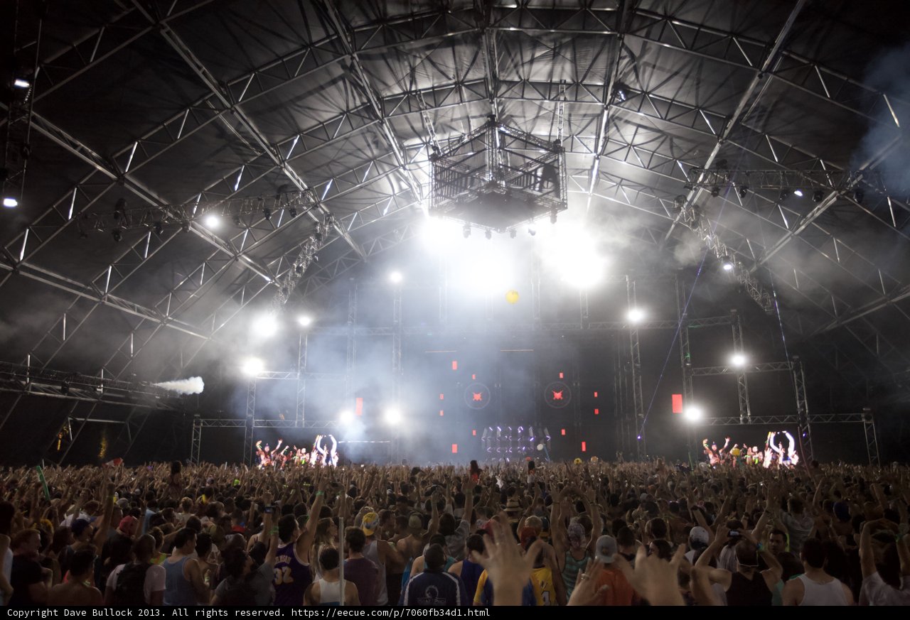 A Sea of Fans at Coachella Concert