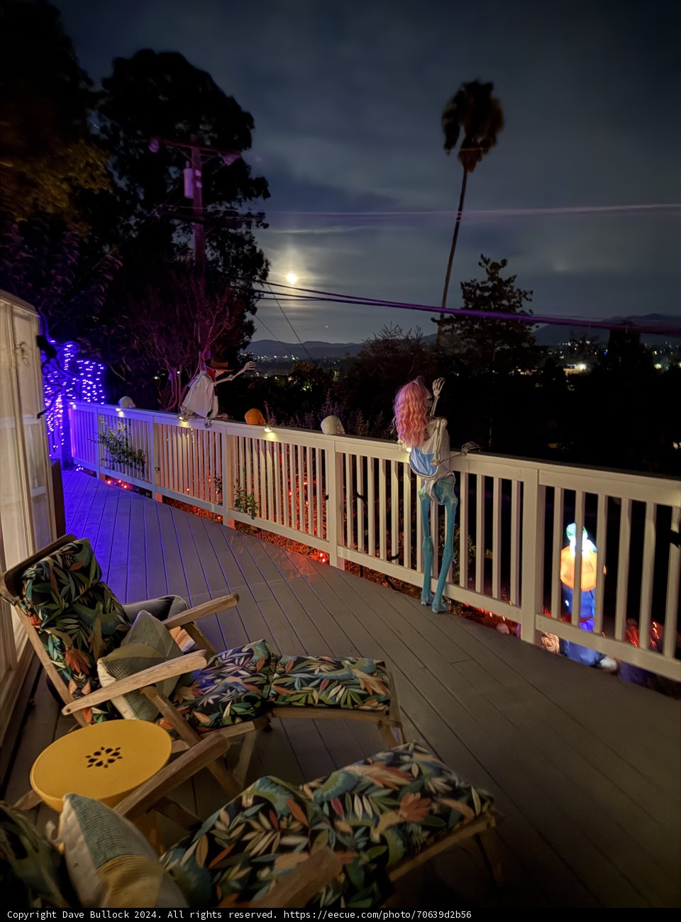 Moonlit October Evenings