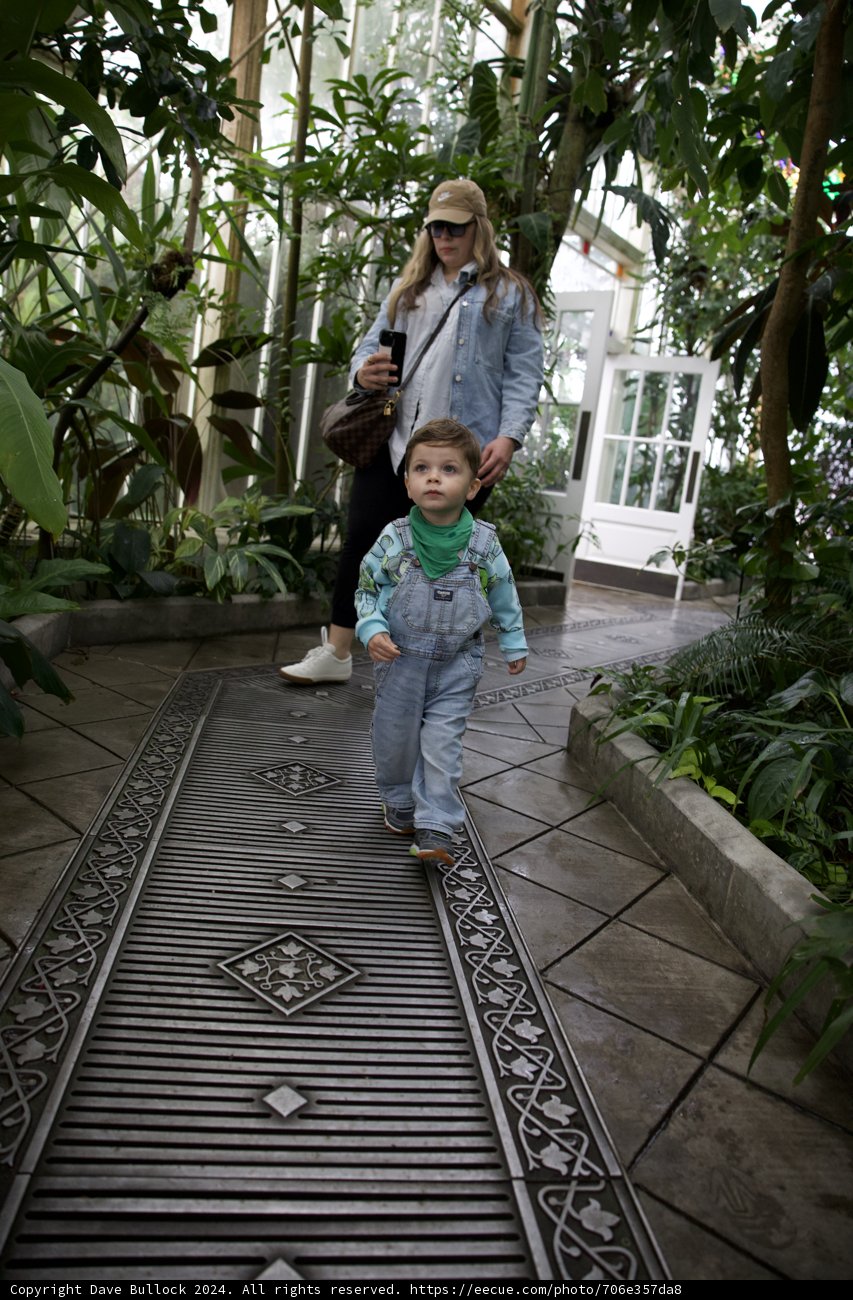 Serene Stroll in the Conservatory