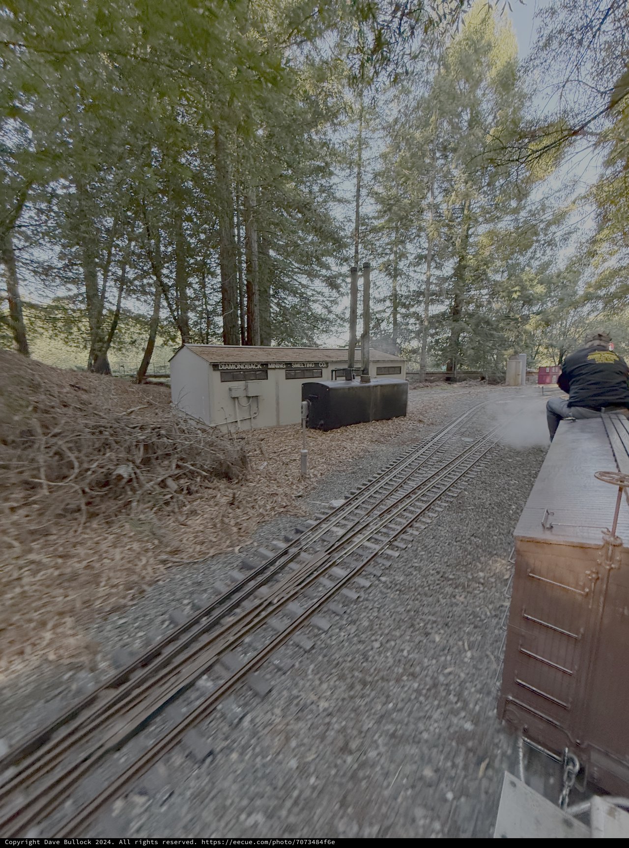 Miniature Railway Journey Through Wooded Station