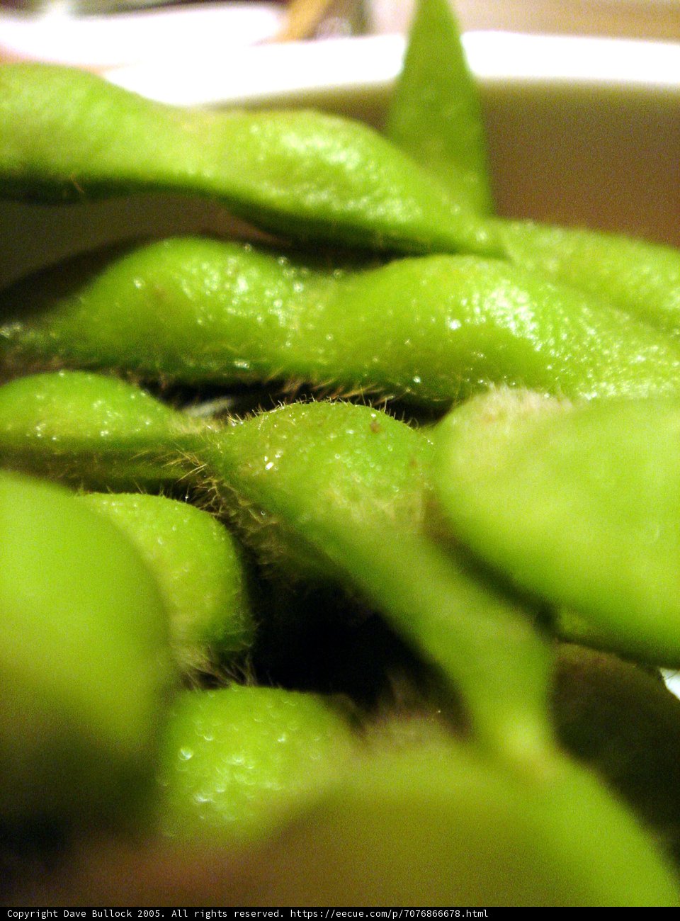 Deliciously Nutritious Green Beans