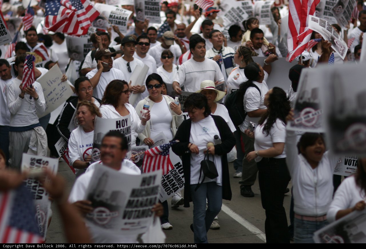 Protesting for a Cause