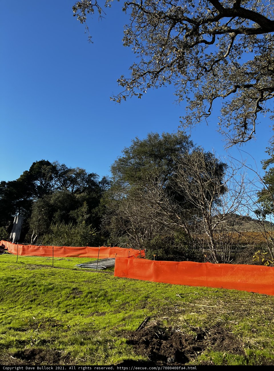 A Fence Divides the Greenery