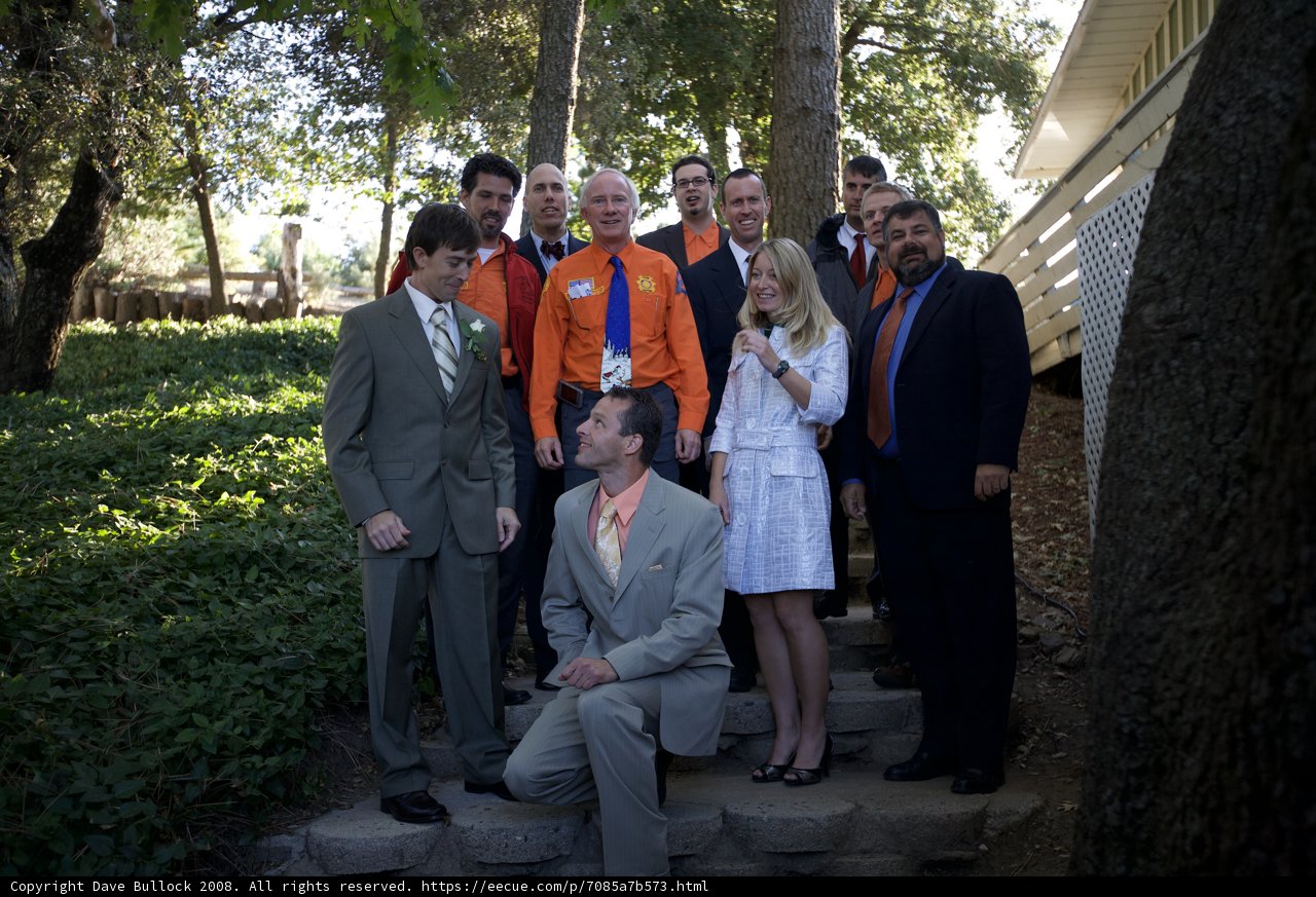 The Truitt Wedding Party on the Steps