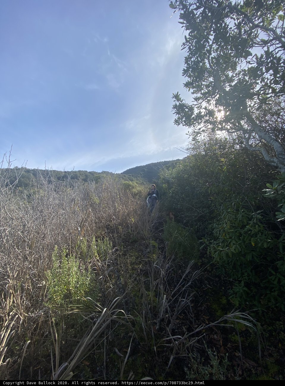 Trailblazing through the Carmel Valley Wilderness