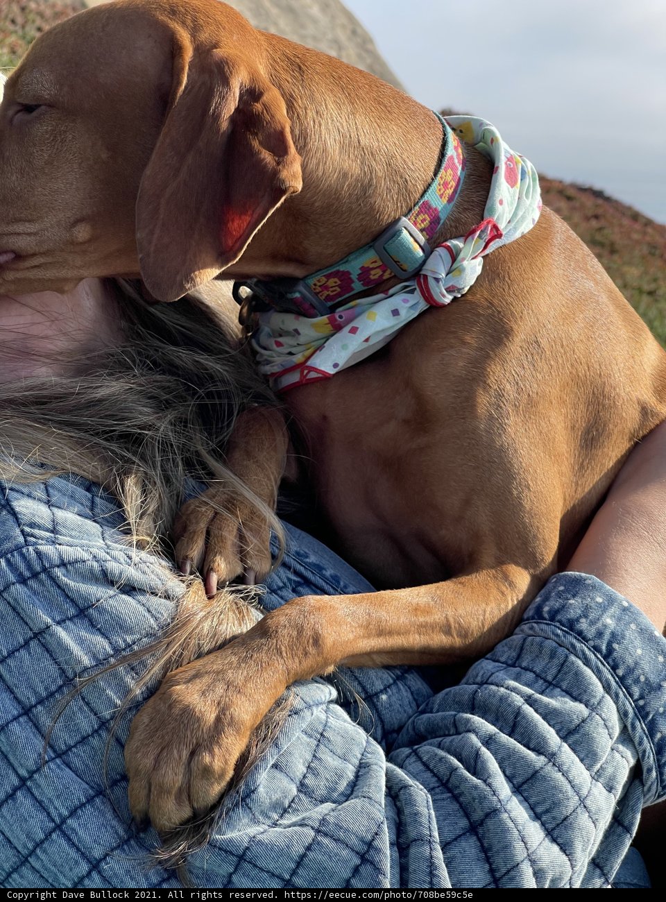 Puppy Love