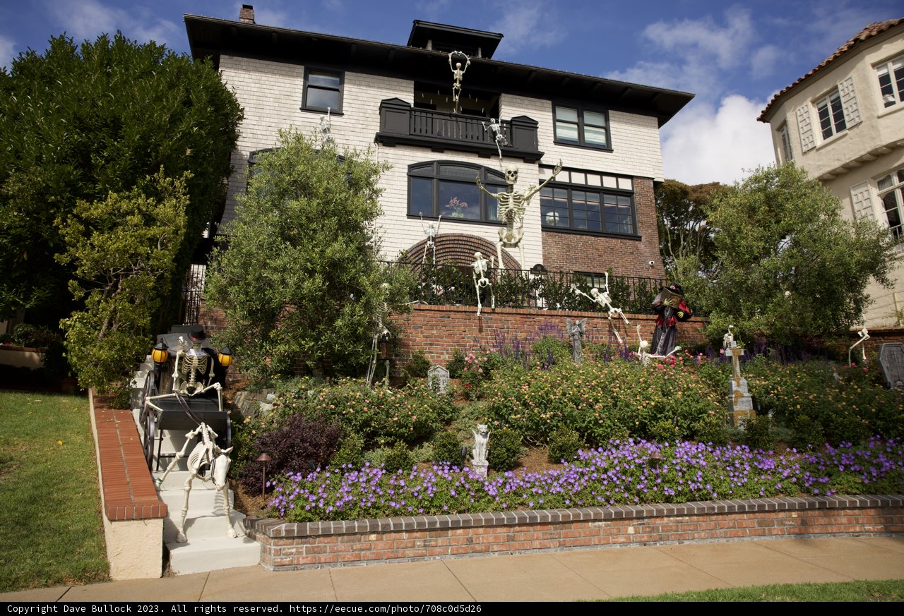 Serene Beauty in the Heart of San Francisco