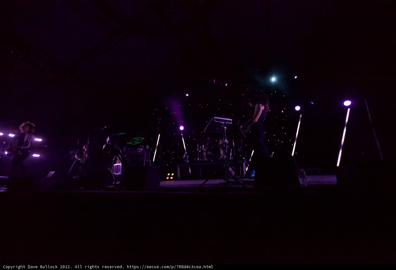 Purple Haze: A Nighttime Concert Experience