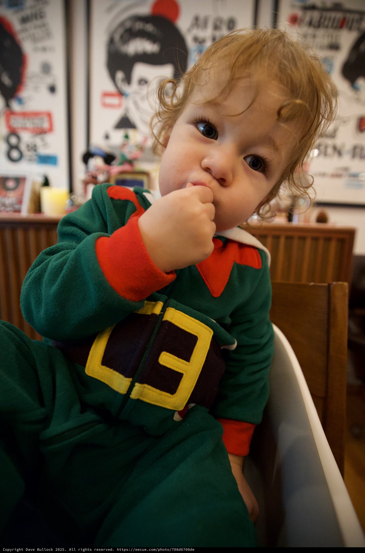 Adorable Toddler in Christmas Elf Costume at Restaurant