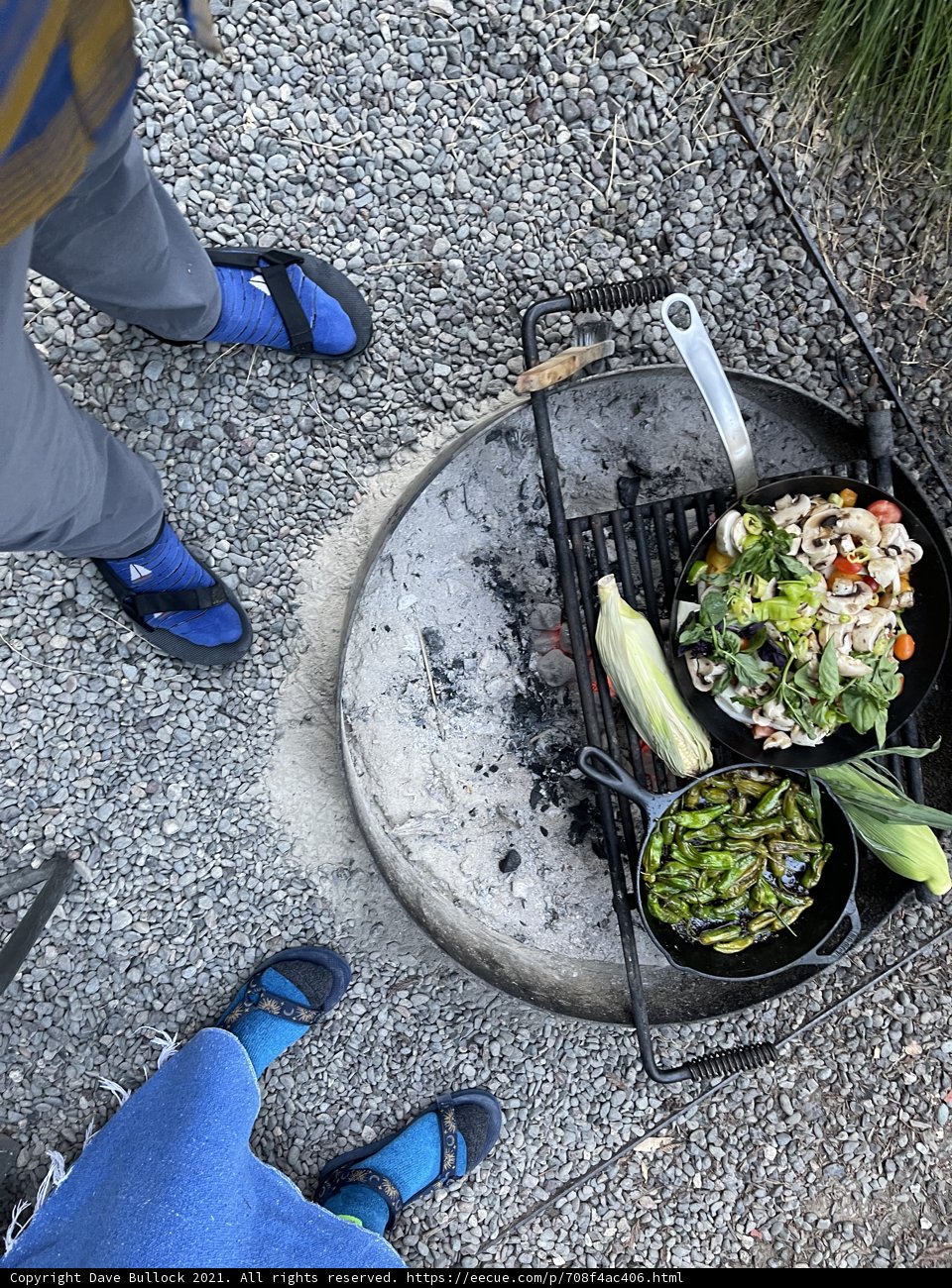 Grilling Outdoors with Family