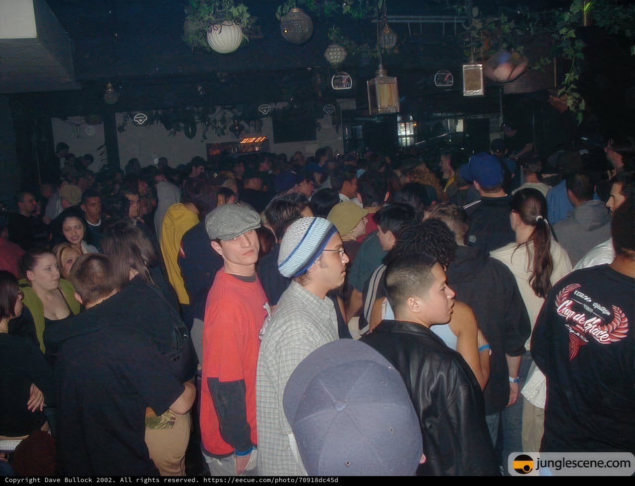 Nightlife Crowd in Urban Club