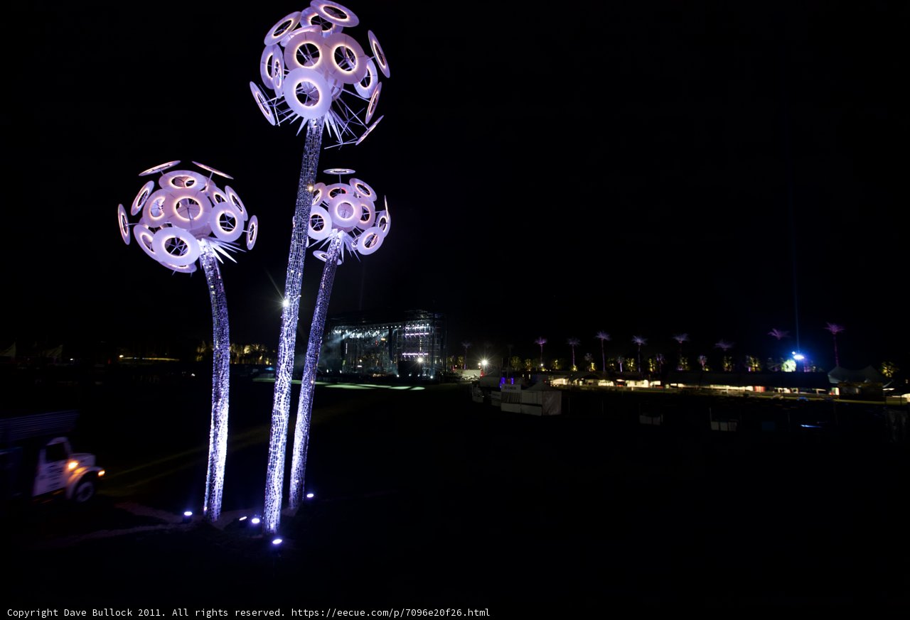 Floral Illumination