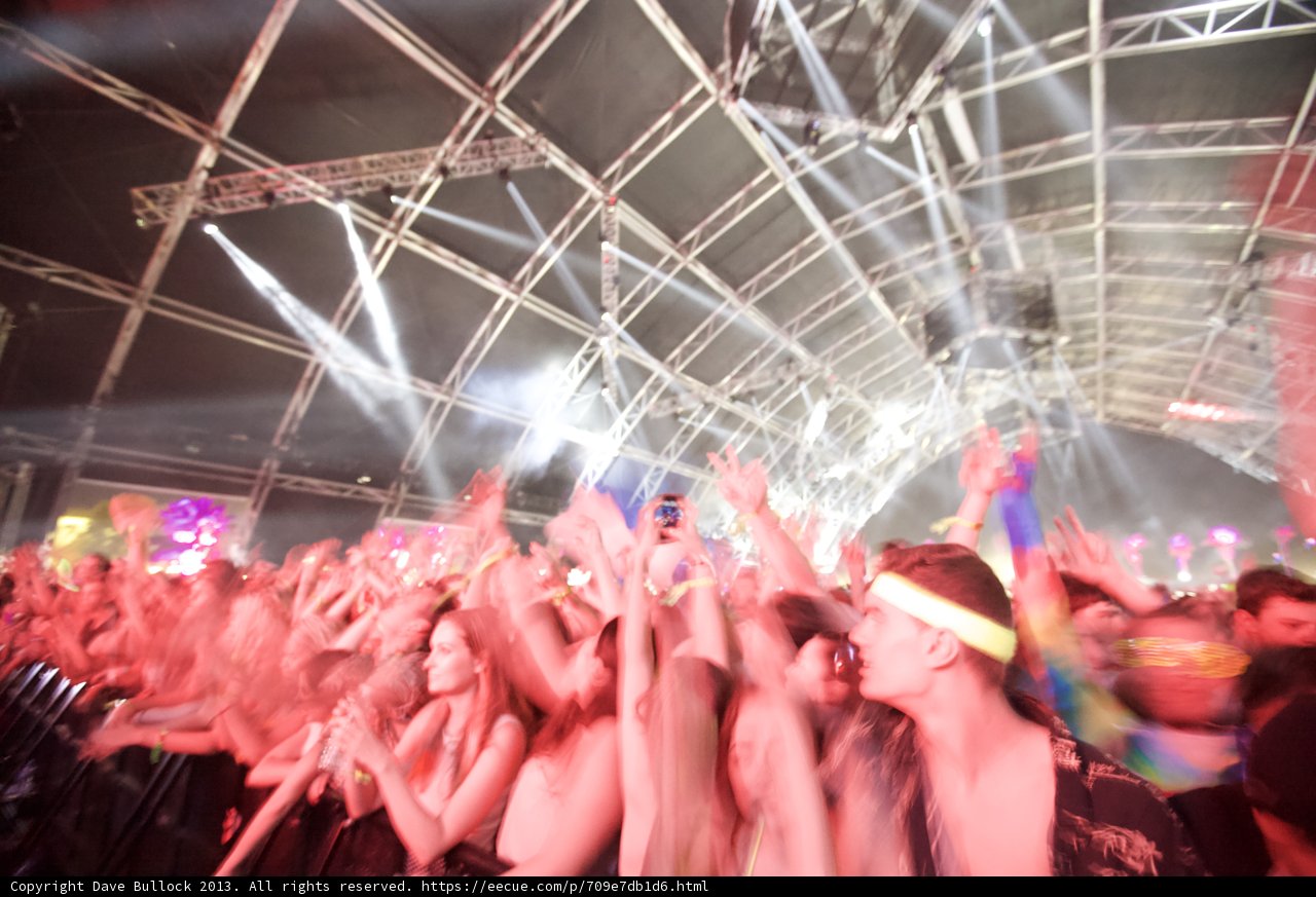 Coachella Crowd Goes Wild