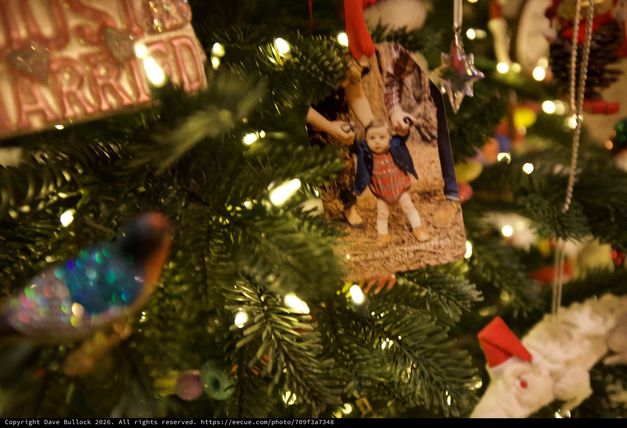 Personalized Photo Ornament on Illuminated Christmas Tree