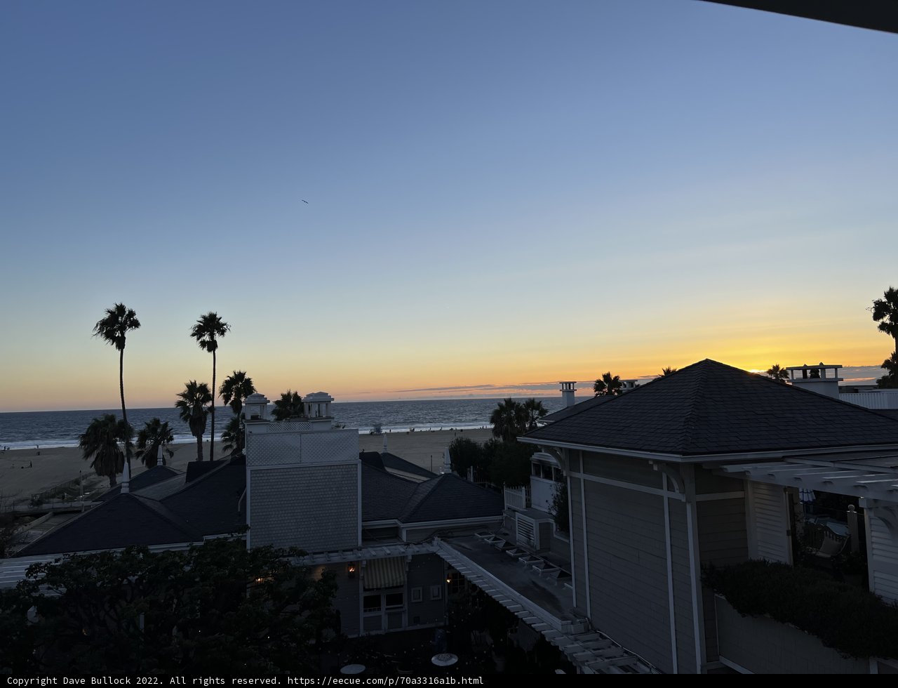 A Serene View of the Ocean and Palm Trees