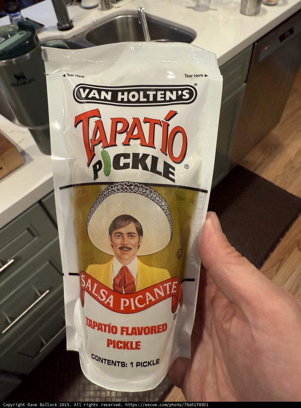 A Flavorful Pickle Surprise