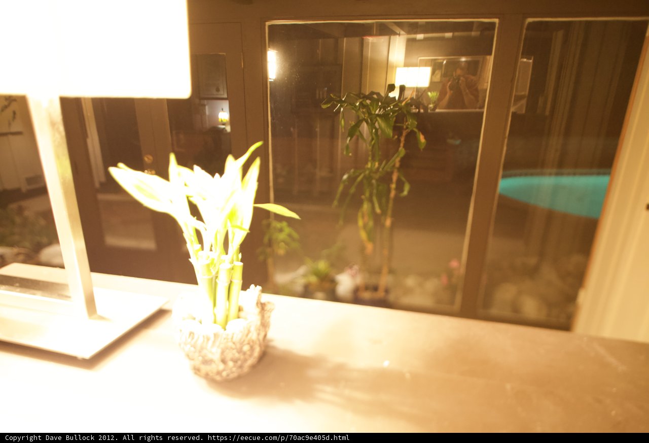 Lush Addition to Interior Design