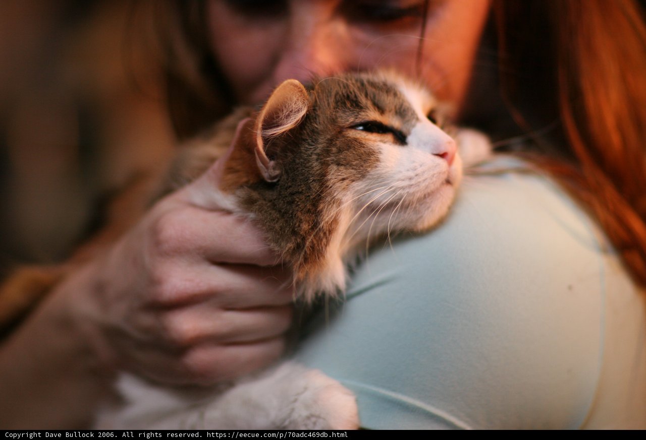 Woman Holds Two Adorable Cats