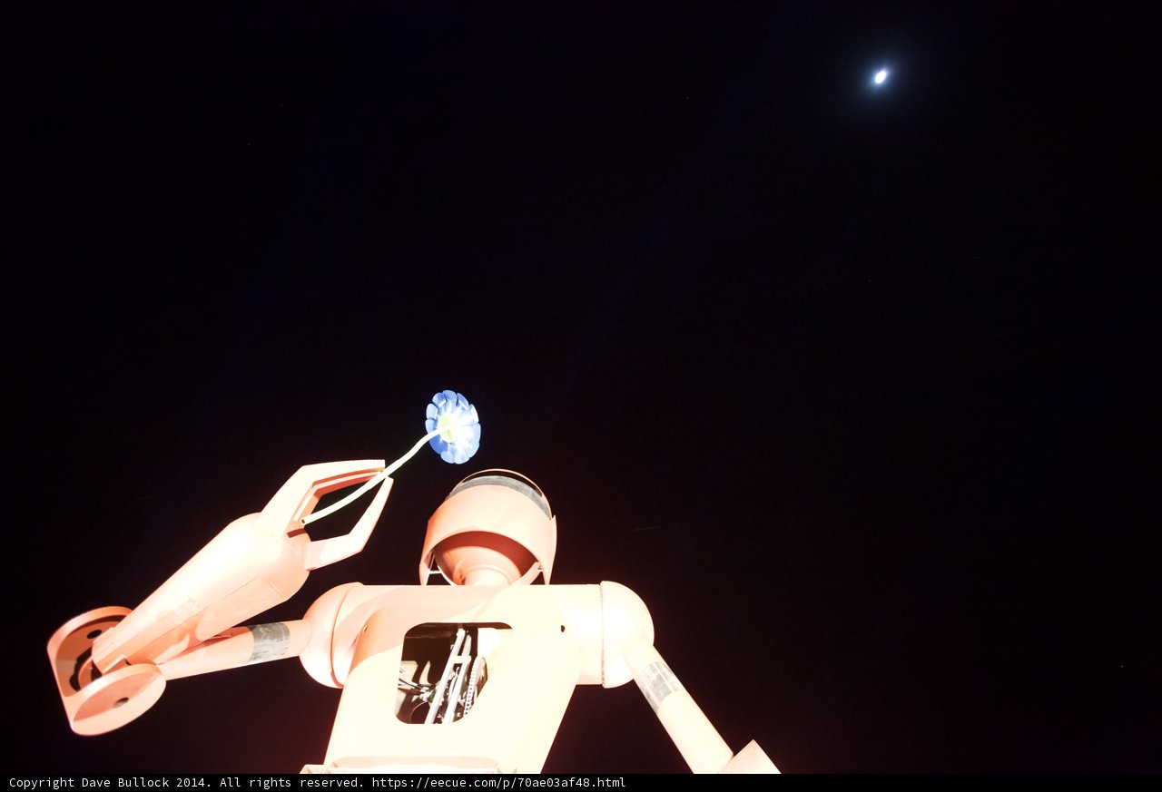 Robot Admiring the Night Sky with a Flower