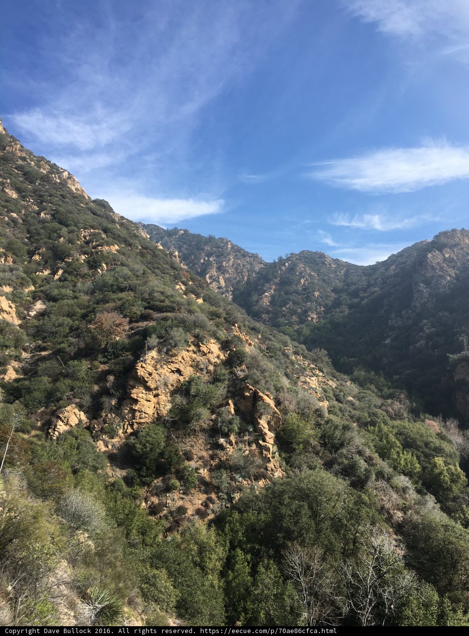 Summit Serenity