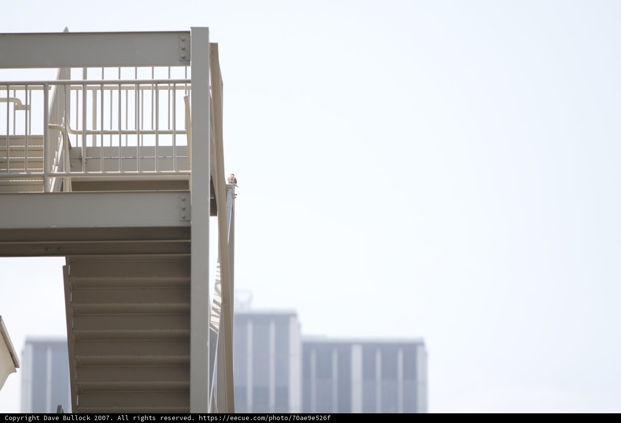 Descending the Architectural Stairway