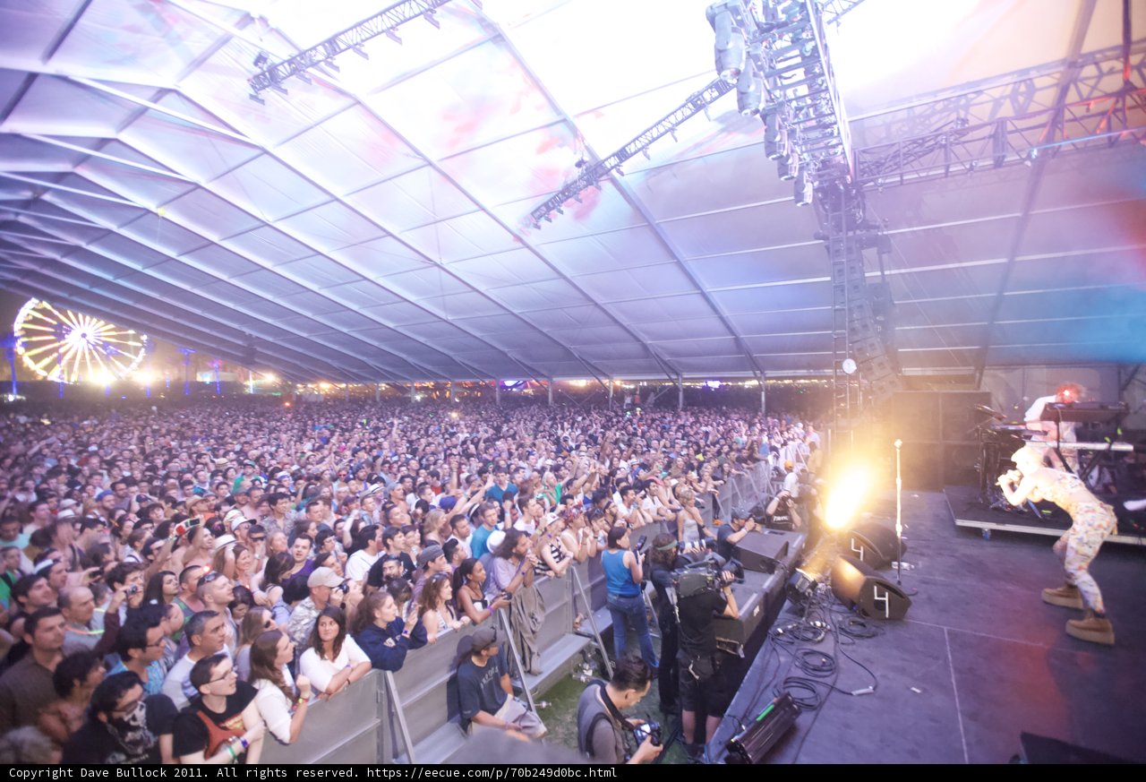 Electrifying Crowd at Coachella Festival