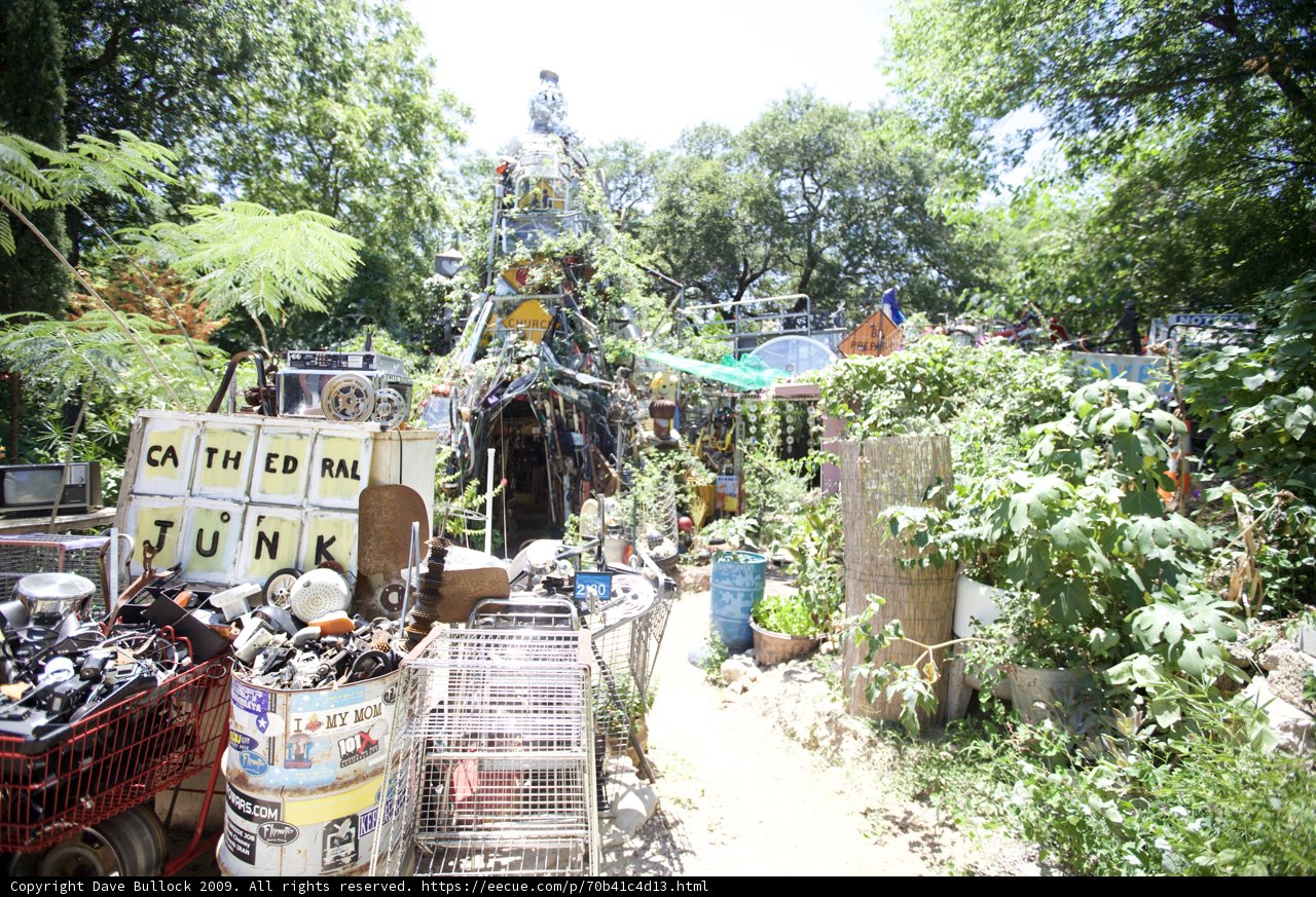 A Jungle Oasis in the Midst of Junk