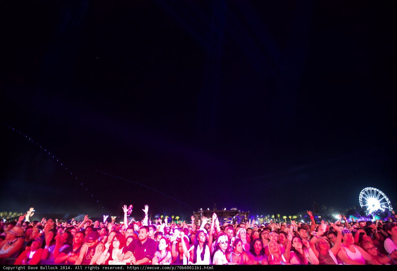 Ecstatic Crowd at Coachella Music Festival