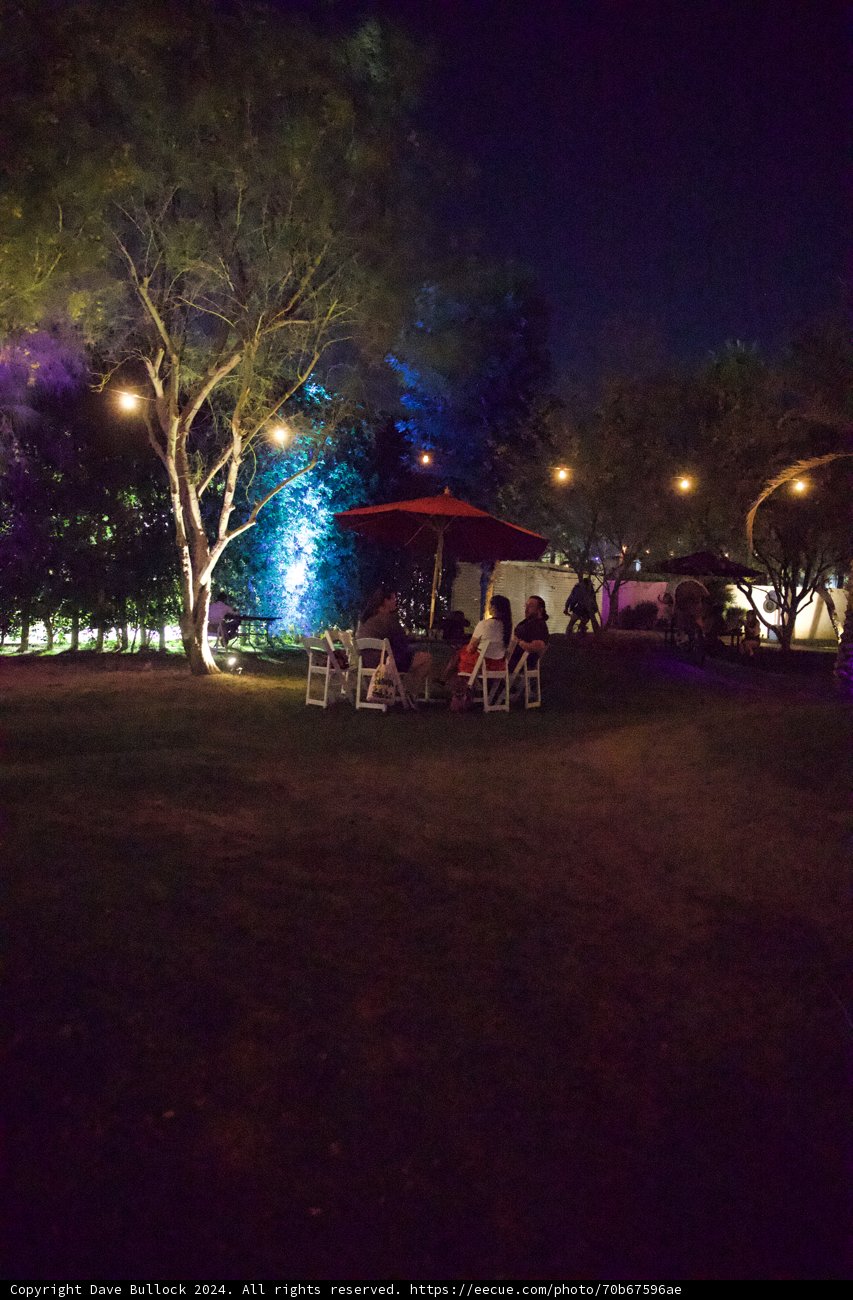 Enchanted Evening at Coachella 2024