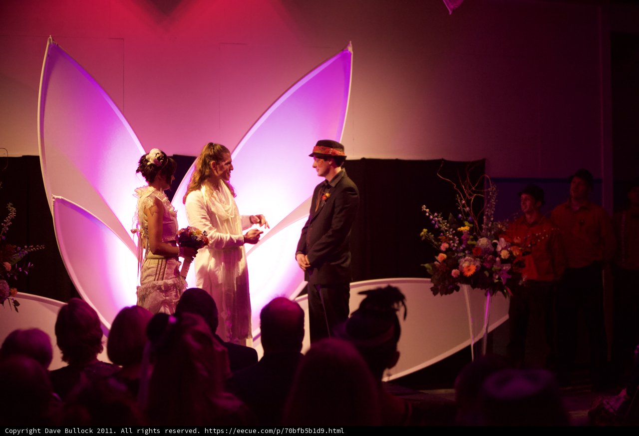 The Wickstrom Wedding Celebration