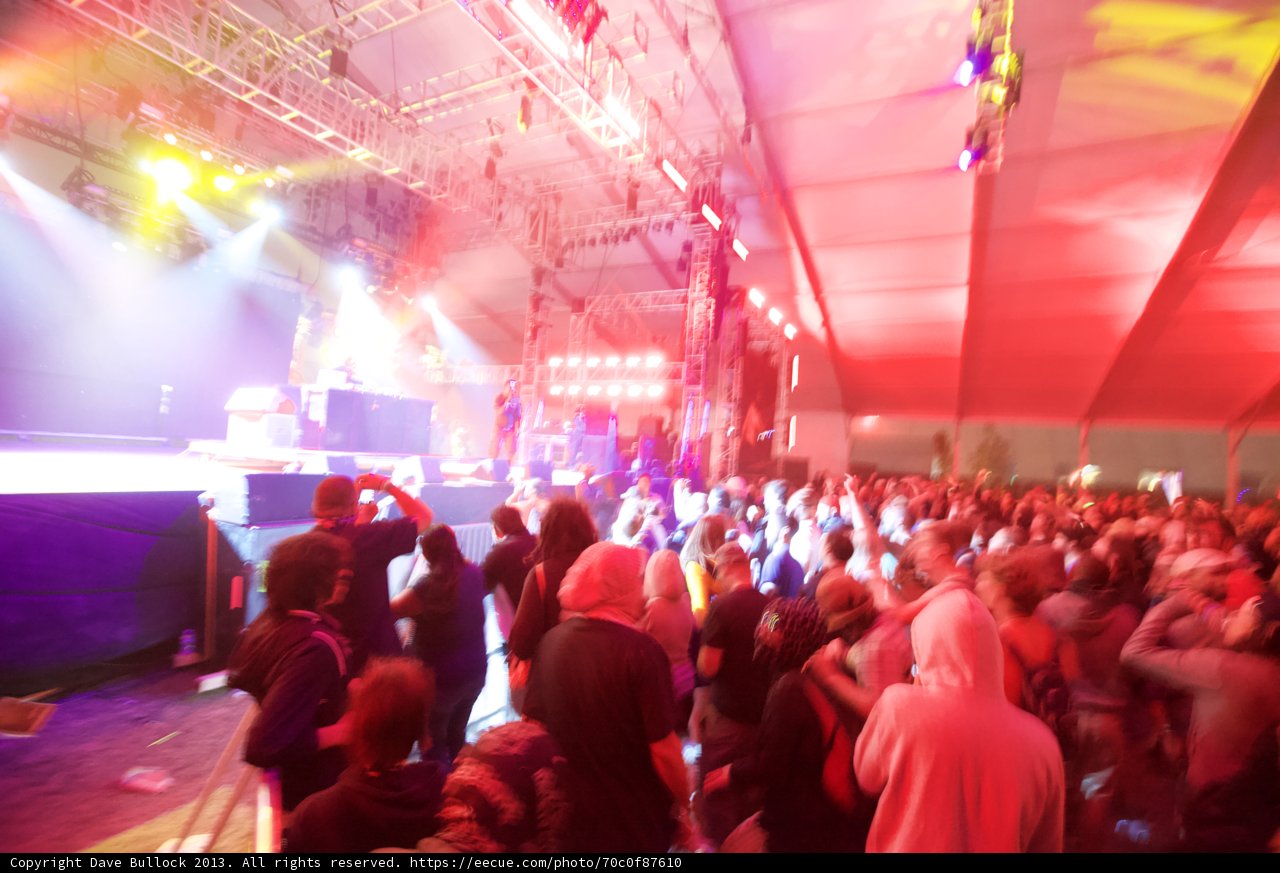 Coachella 2013: The Ultimate Party Crowd