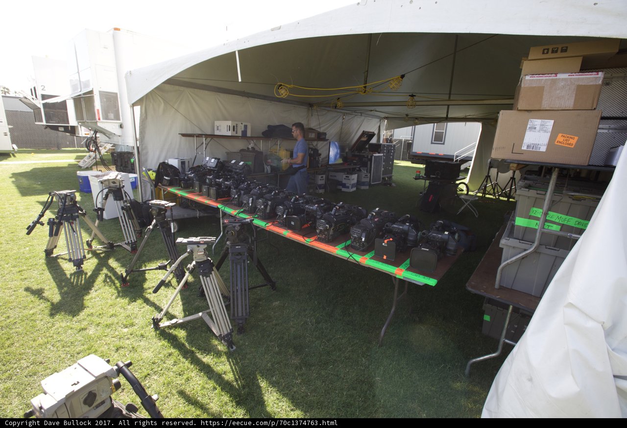 Capturing Memories at Coachella