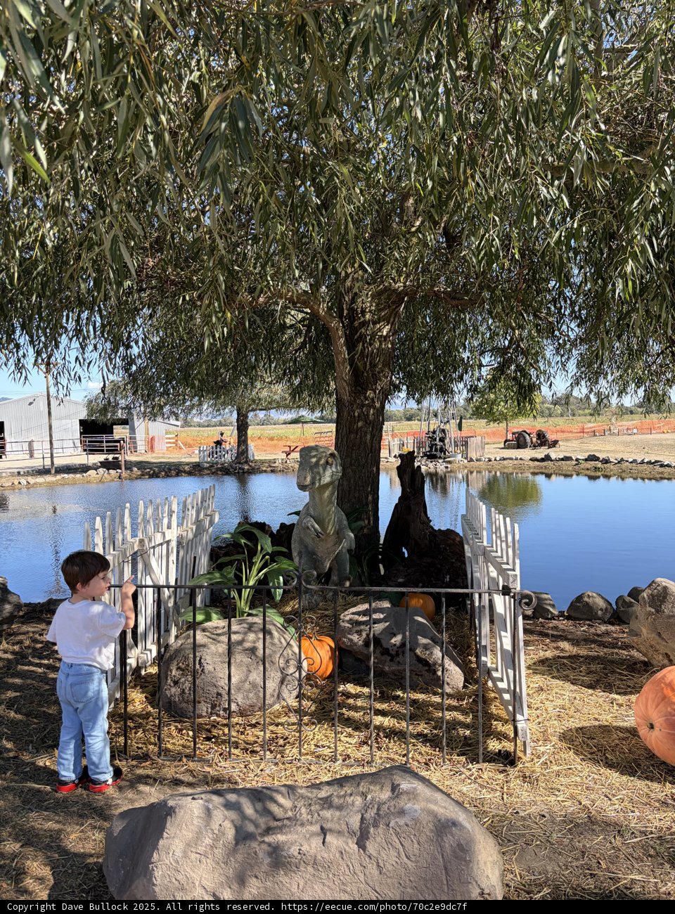 Discovering Dinosaurs by the Pond