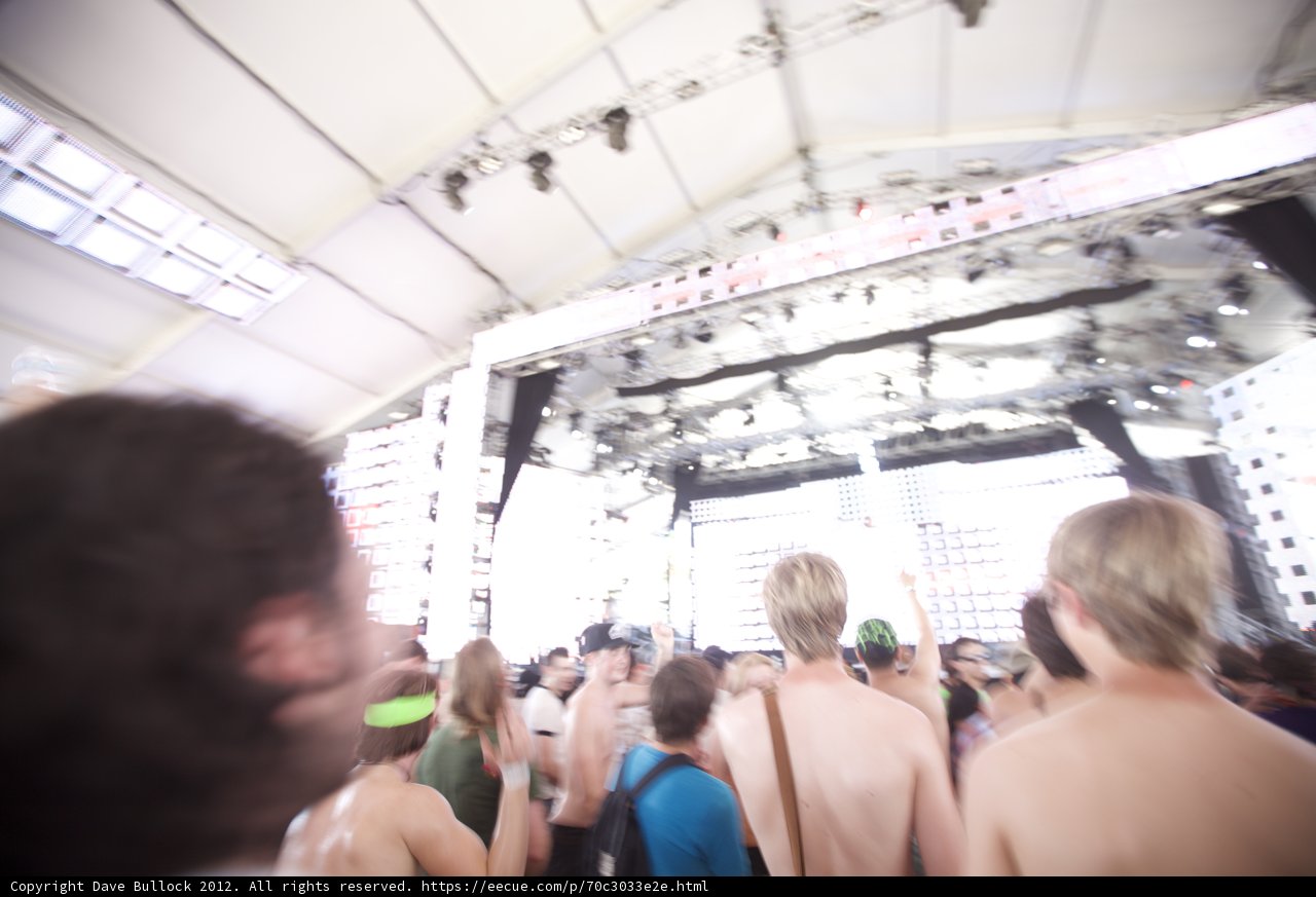 Music Festival Madness
