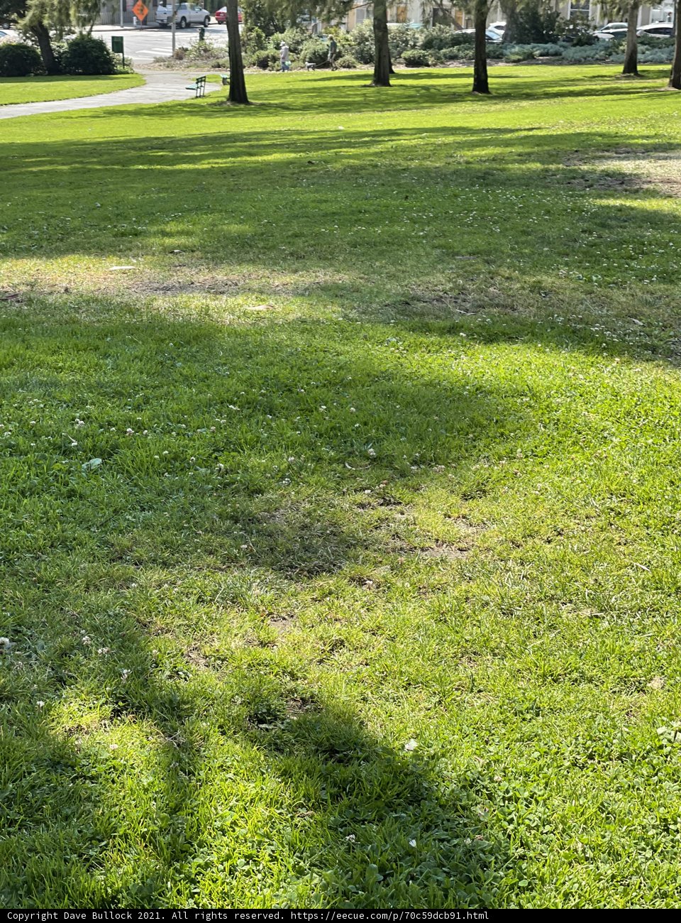 Peaceful park day