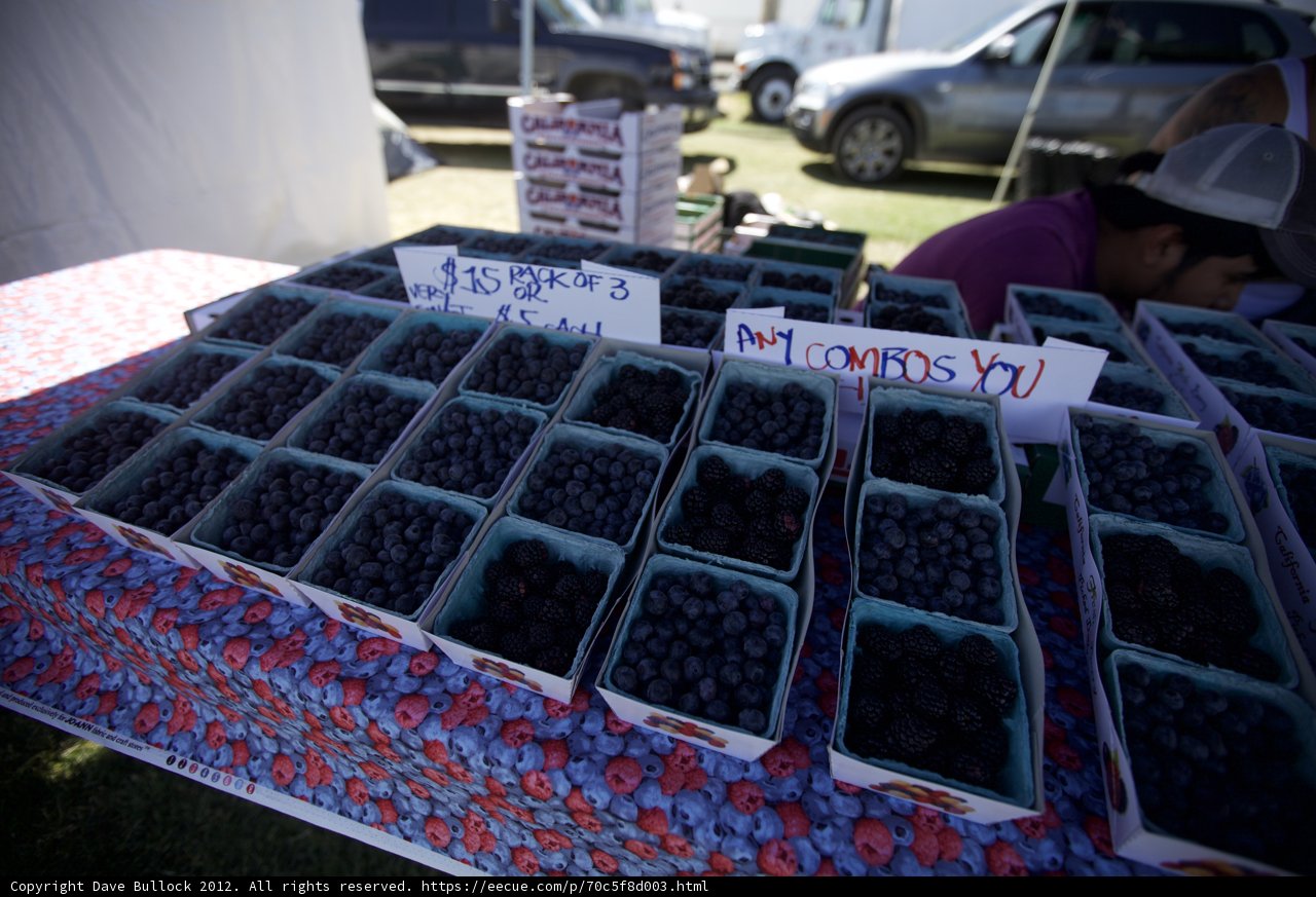 Blueberry Bounty