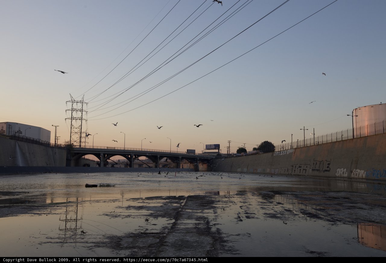 Serenity on the LA River