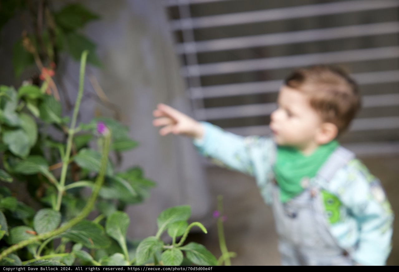 Nature's Curiosity: A Child's Exploration