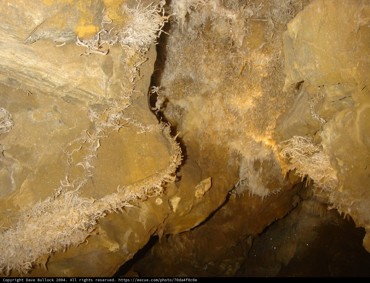 Exploring the Natural Wonders of the Cave