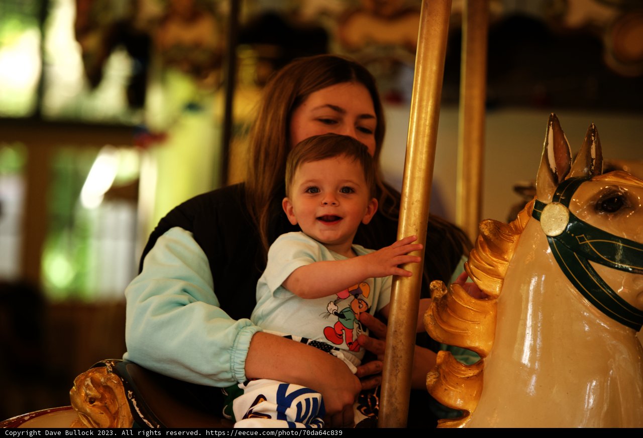 Whirling Memories: A Day at SF Zoo