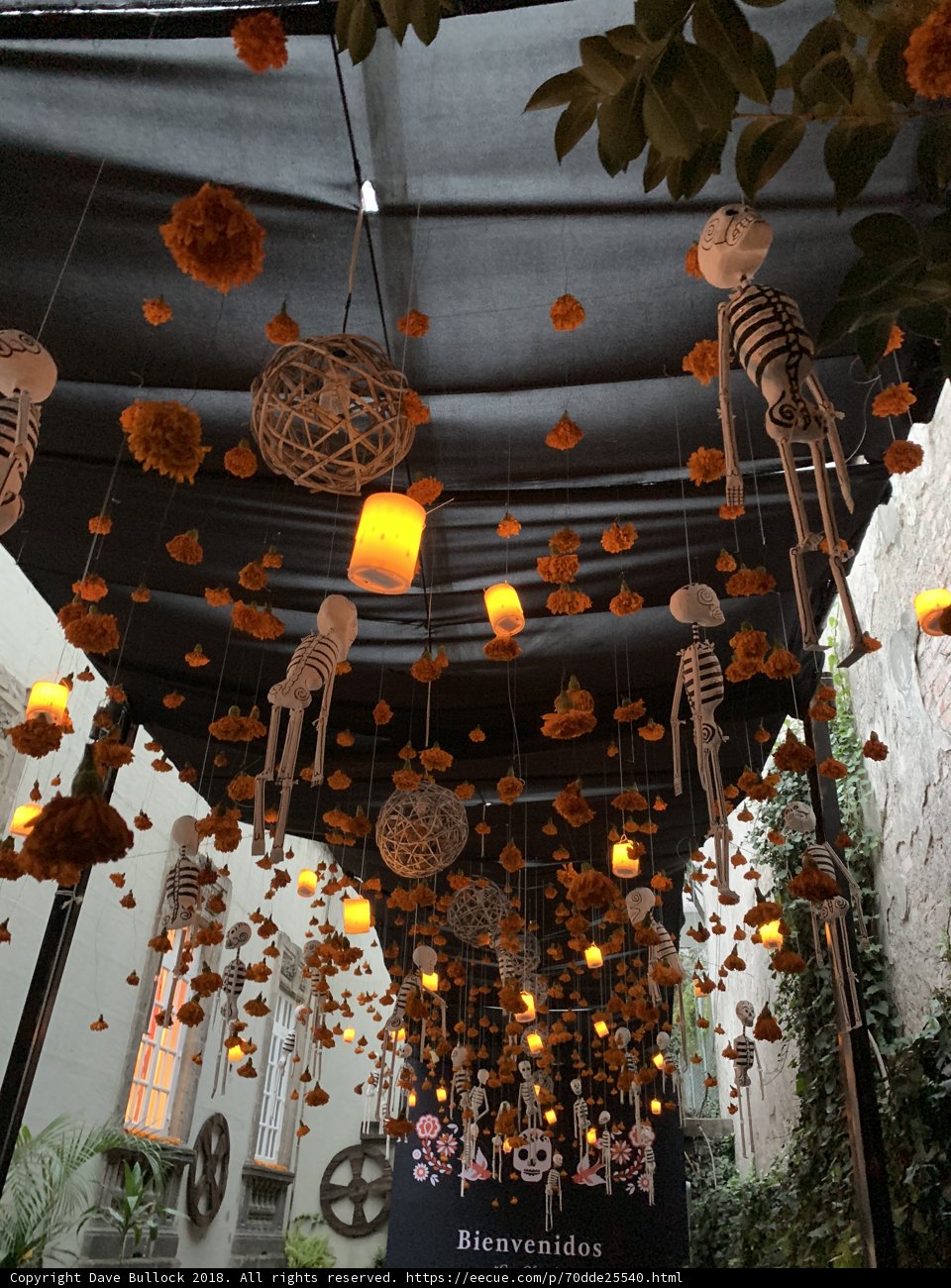 Spooky Skeletons Illuminate Halloween Decor