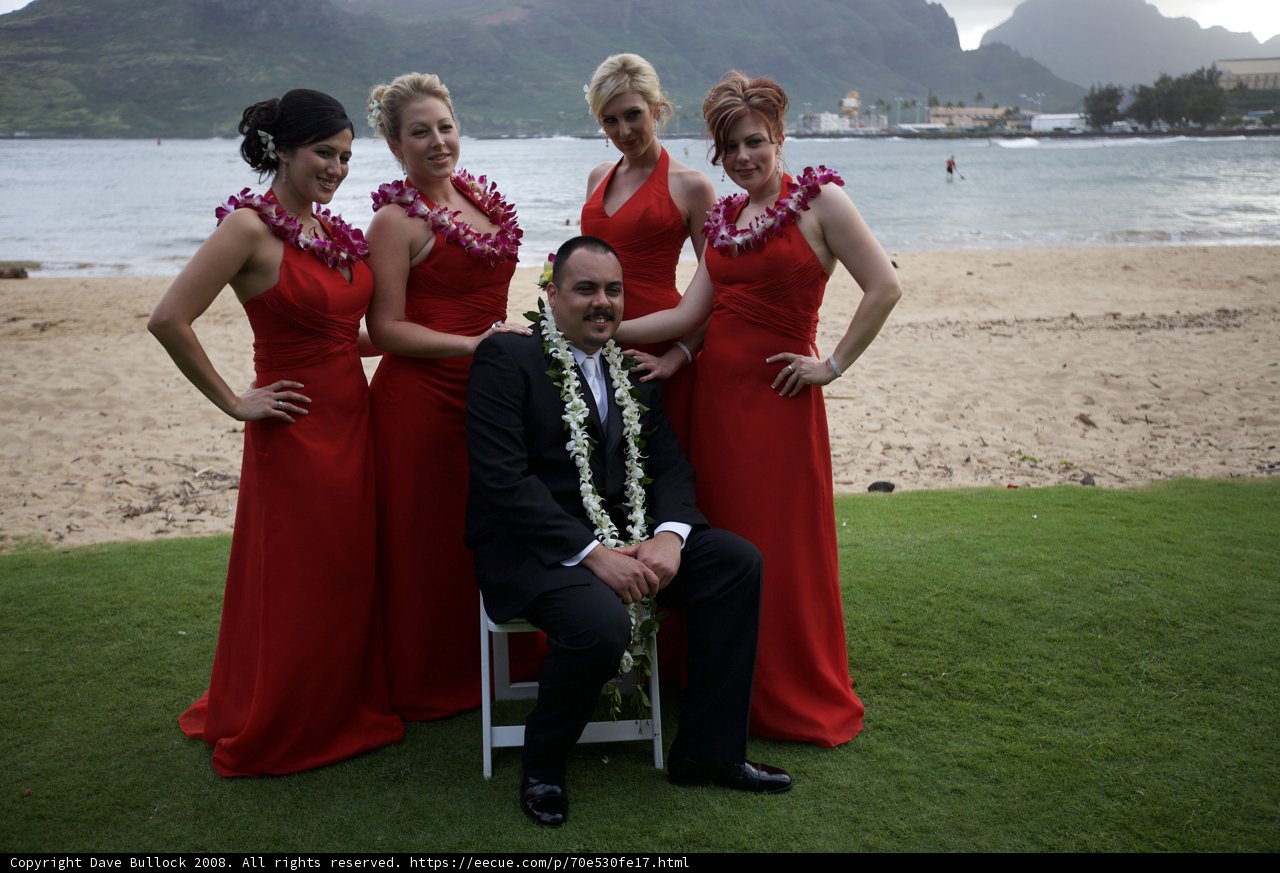 Wedding Party by the Water