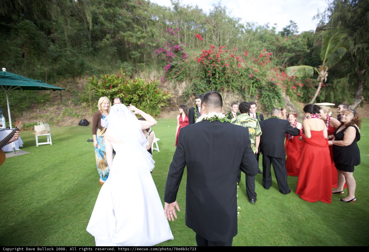 Walking Through the Grass of Love
