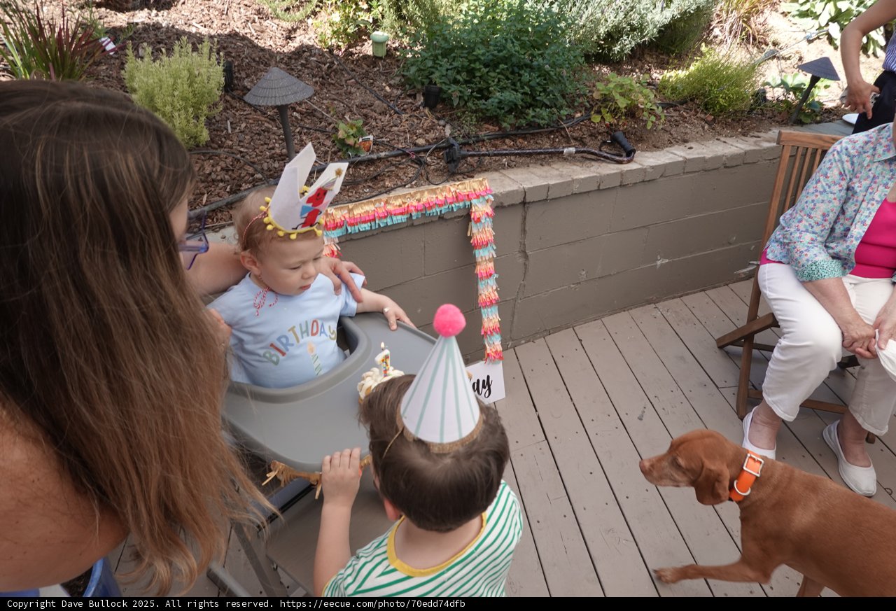 Birthday Delight on the Deck
