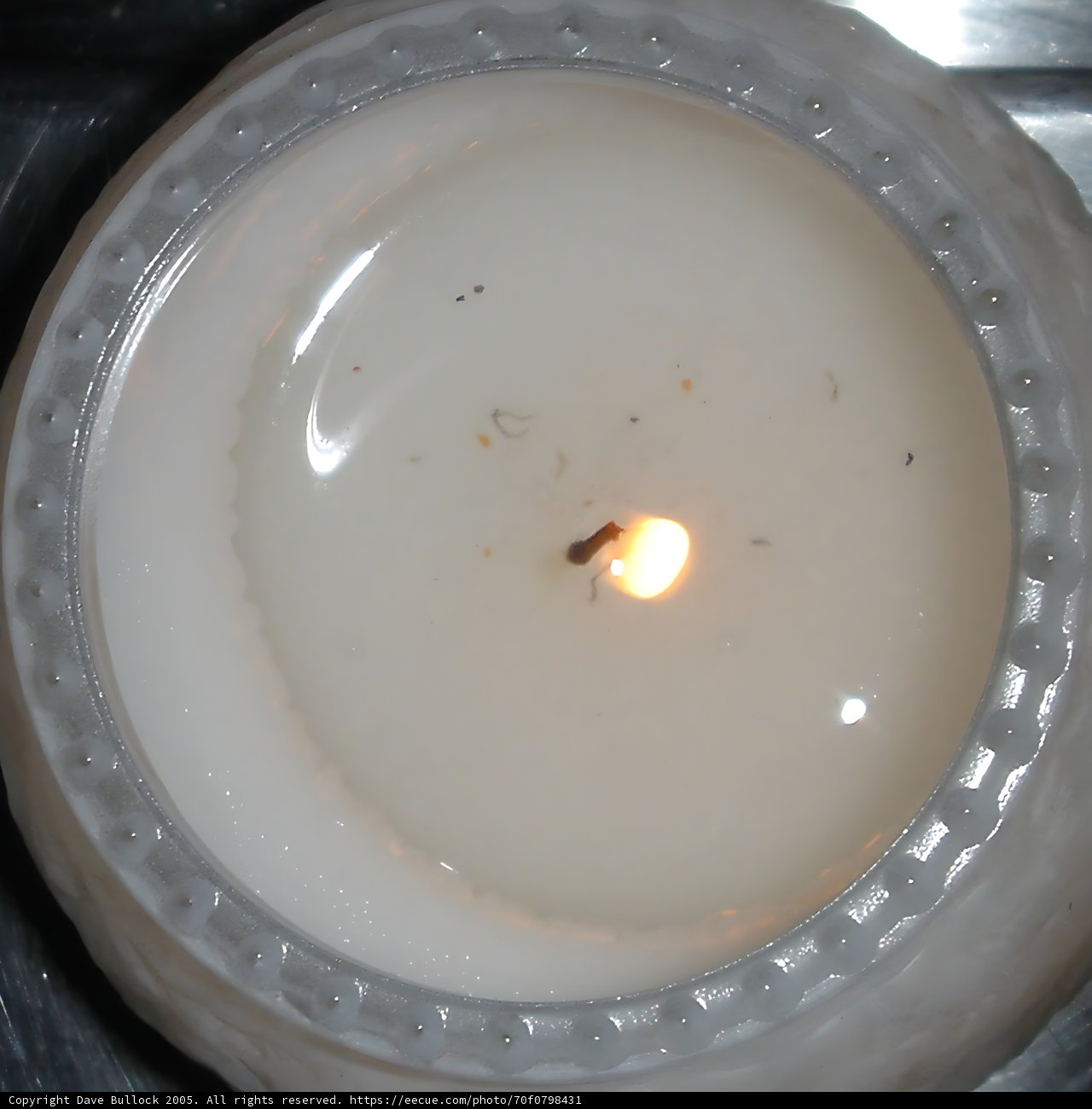 Bug in the Flames