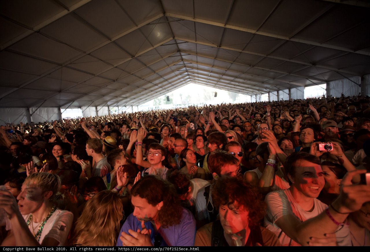 Hands Up in the Coachella Crowd